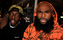 Flatbush Zombies (US)